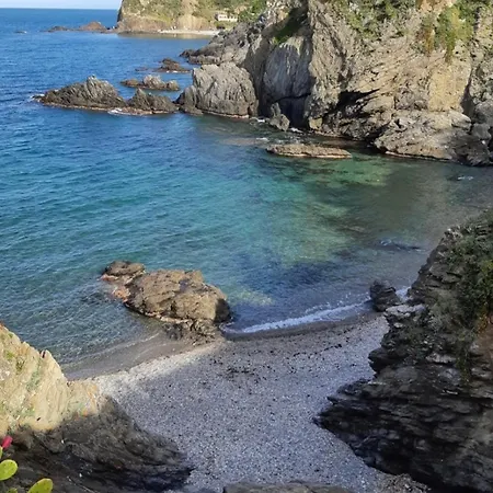 Apartment Coquet A 30m De La Avec Balcon A - Fr-1-732-43 Argeles-sur-Mer